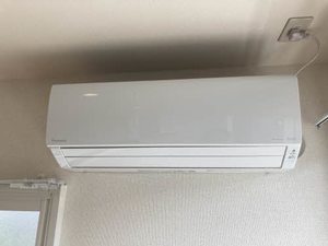 ハミングバード B201号-6