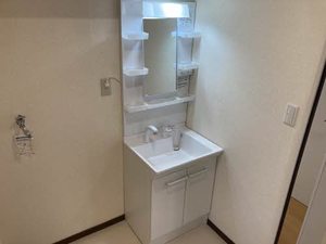 ハミングバード B201号-10