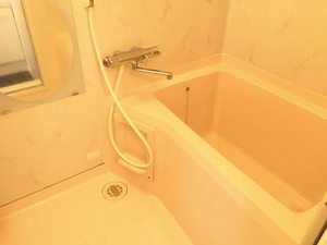 Ｔ．ＴＯＷＮロワール 0101号-9