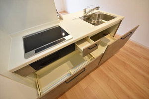 アイカ ルケア 0101号-5