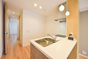 アイカ ルケア 0101号-6