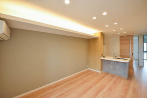 アイカ ルケア 0303号-2