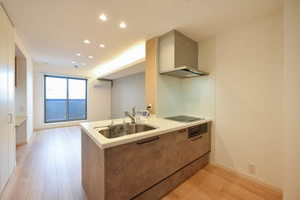 アイカ ルケア 0303号-4