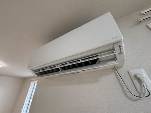 Ｐｅｒｓｉｌ 0202号-7