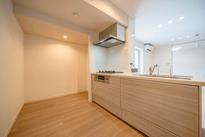 Ｓｈａ　Ｍａｉｓｏｎ　鳥居町 0201号-3