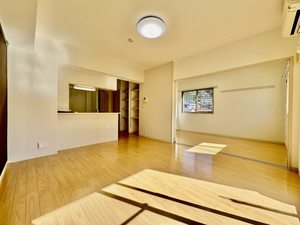 Ｒａｆｆｅｌｉａ 0103号-2