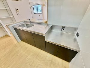 Ｒａｆｆｅｌｉａ 0103号-4