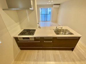 ヘスティア 0105号-4