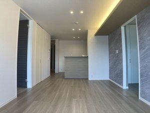 メゾン・メイ 0203号-3