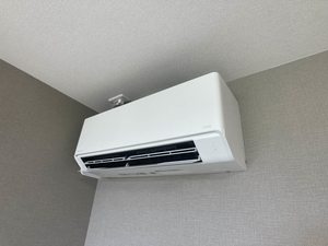 メゾン・メイ 0203号-12