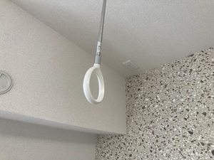 メゾン・メイ 0203号-14