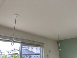 グリーン曙 0105号-12