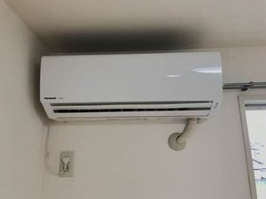 グリーン曙 0203号-11