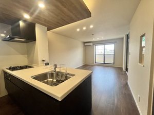 オーレリアン 0201号-4