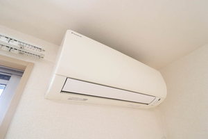 Gente(ジェンテ) 0201号-12