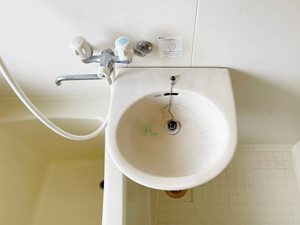グリーンヒルズ猫洞 0206号-14