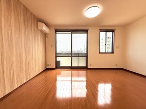Azul B202号-2