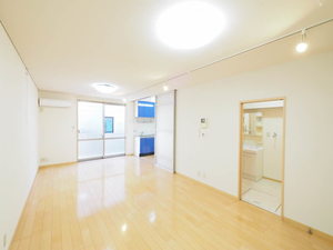 ヴェルドミール 0102号-3