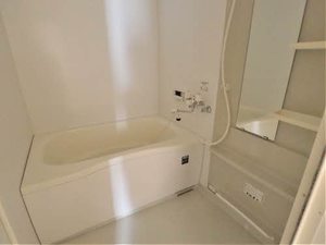 ヴェルドミール 0105号-11