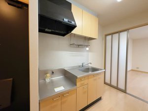 トルナーレ有玉 0201号-3