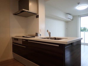 マストタウン神道寺 A203号-14