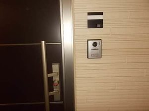 MASTTOWN FERIO 0101号-2