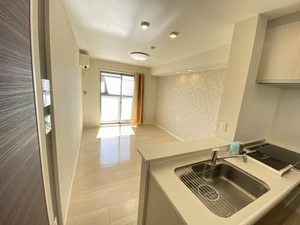 ＭＡＳＴＴＯＷＮ　ＦＥＲＩＯ 0303号-2