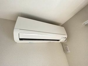 ＭＡＳＴＴＯＷＮ　ＦＥＲＩＯ 0303号-15