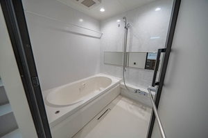 プルメリア 0201号-6