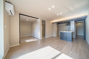 プルメリア 0202号-3
