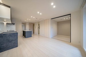 プルメリア 0401号-2