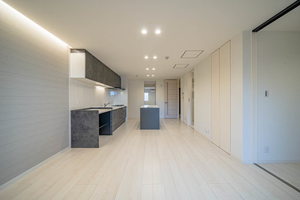 プルメリア 0401号-3