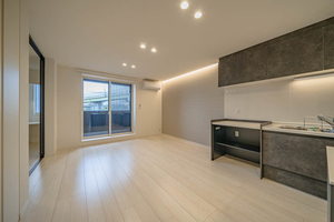 プルメリア 0401号-4