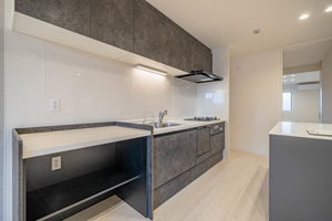 プルメリア 0401号-5