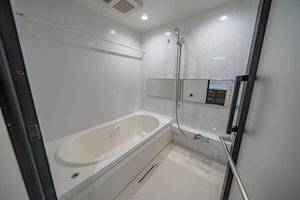 プルメリア 0401号-6