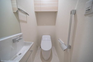 プルメリア 0401号-8