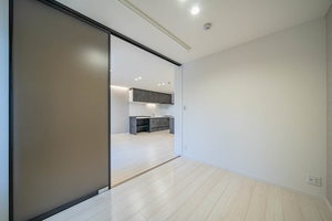 プルメリア 0401号-9