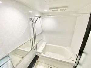 splendore 0102号-12