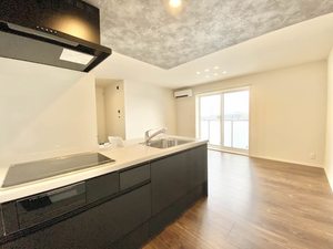 ｓｐｌｅｎｄｏｒｅ 0301号-5