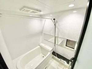 ｓｐｌｅｎｄｏｒｅ 0301号-12