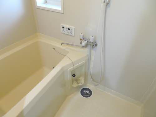 ベルテトモマツ 0103号-11