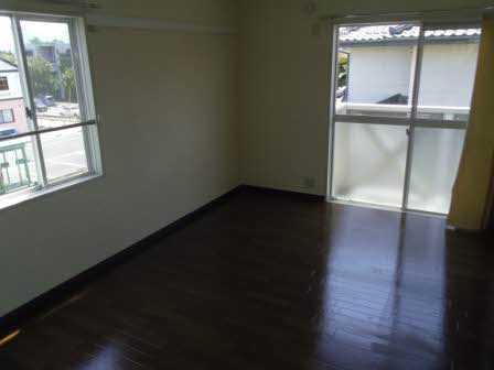 フレグランスひまわり C201号-2