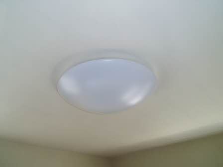 フレグランスひまわり C201号-12