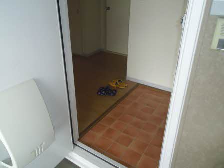 フレグランスひまわり C203号-3