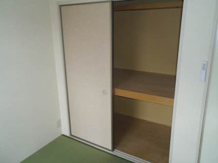 フレグランスひまわり C203号-7