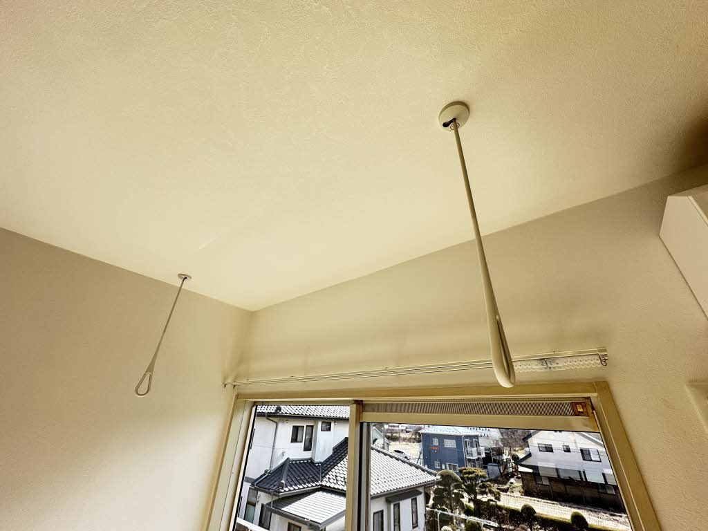 フレグランスひまわり C203号-11