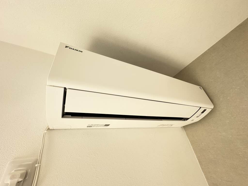 フレグランスひまわり C203号-12