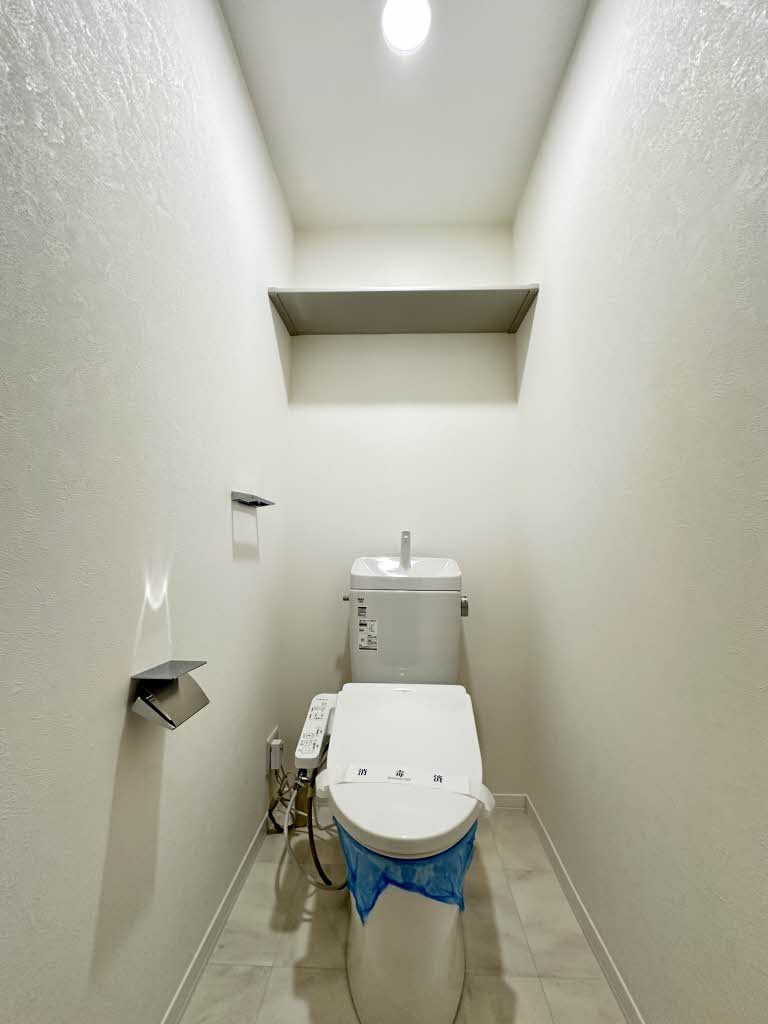 フレグランスひまわり C203号-13