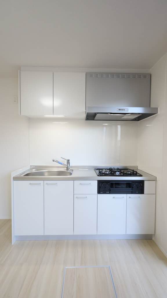 イズランド 0102号-5