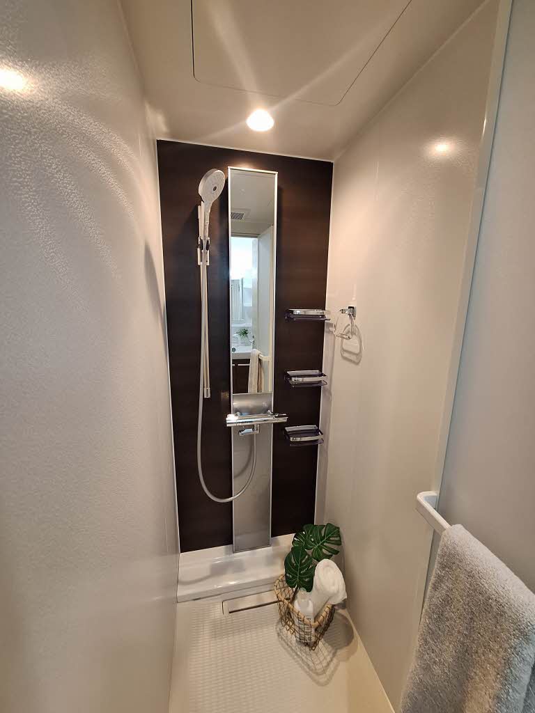 ドミート大金 0203号-10